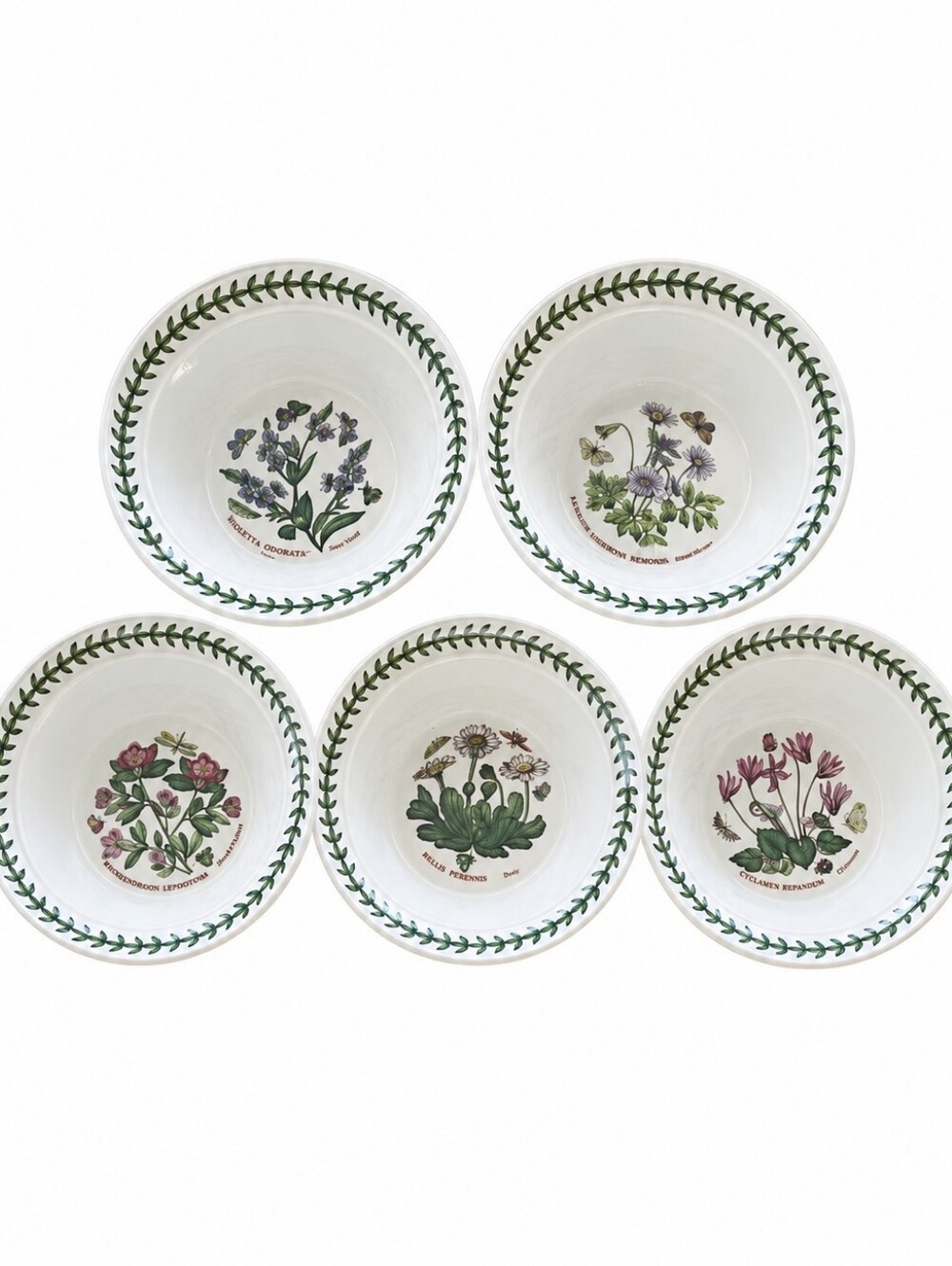 Portmeirion Botanic Garden 6” Cereal Soup Bowls Set of 5 England Floral